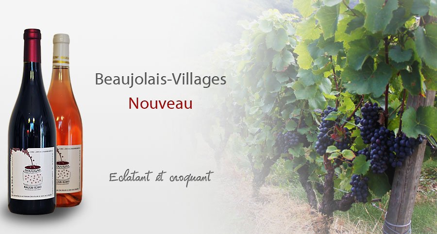beaujolais village nouveau